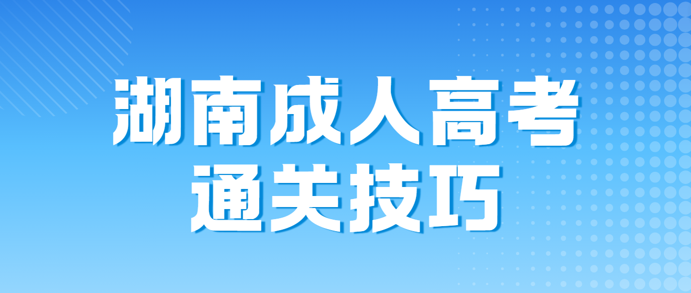 2024年湖南成人高考英语科目通关攻略(图1)